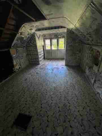 17257 bloom (42)_edited.jpg